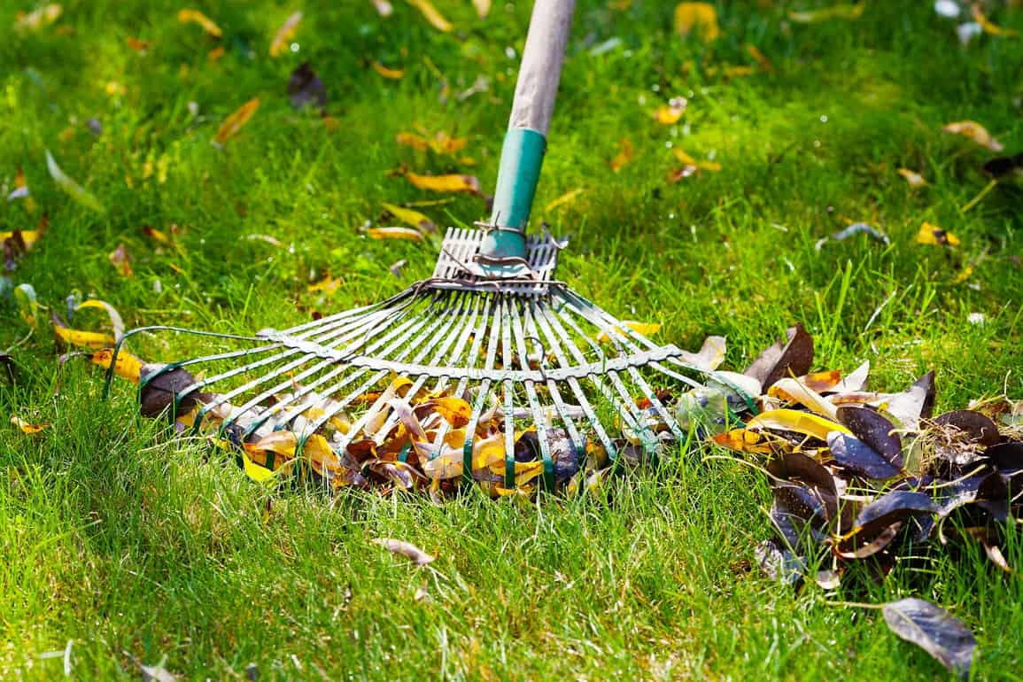 fall cleanup tips & tricks