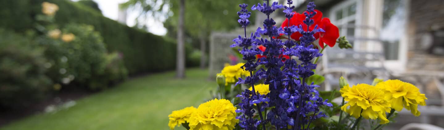The Importance of Spring Cleanups for a Healthy Lawn and Garden