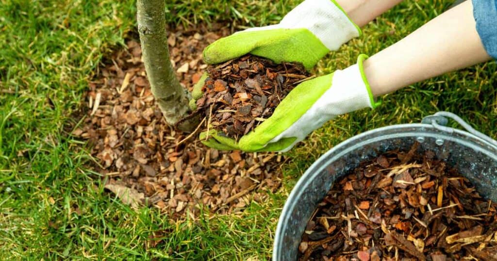 mulch for garden beds and garden installations