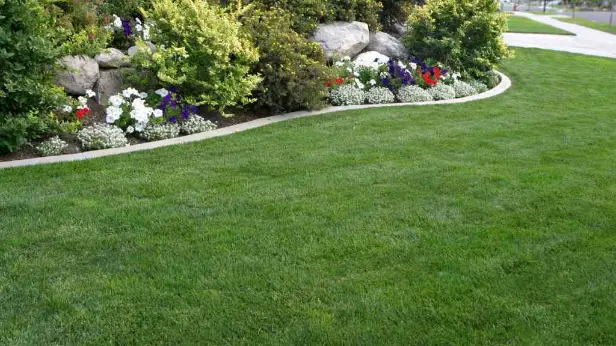 landscaping maintenance services