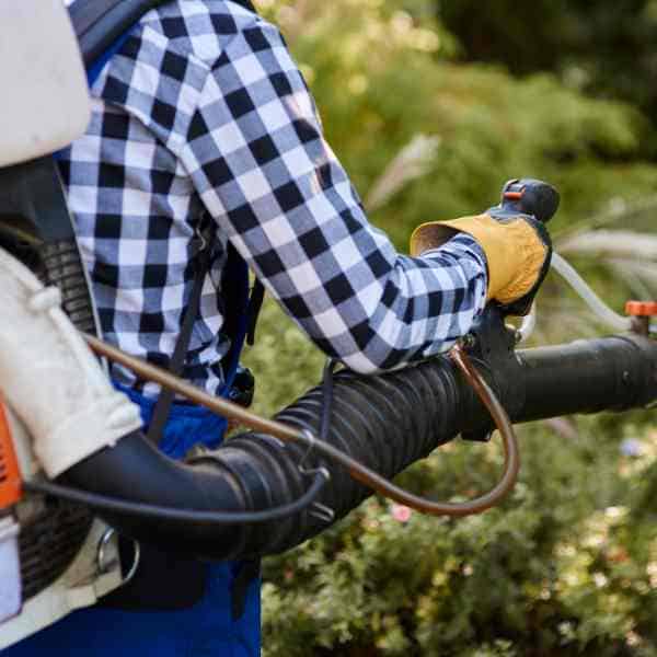 fall cleanup services