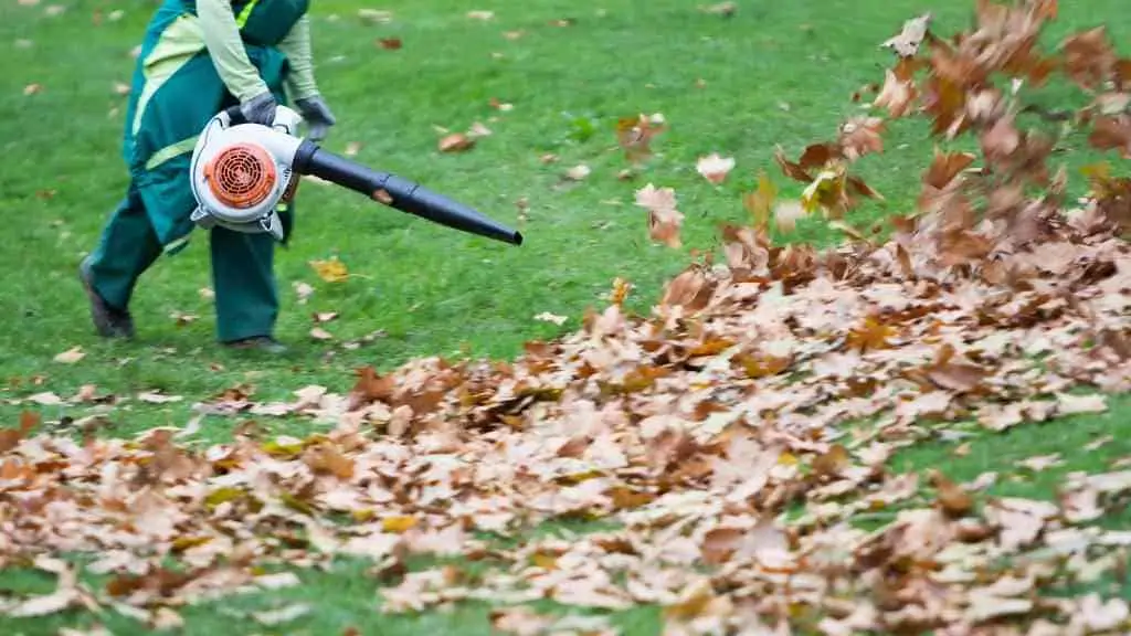 best spring cleanup company