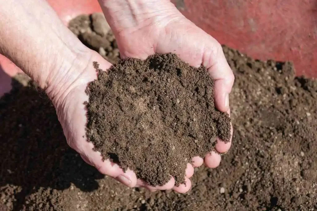 pile of soil resting in two hands