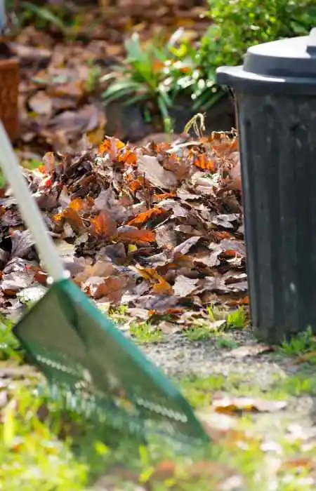 landscaping maintenance services