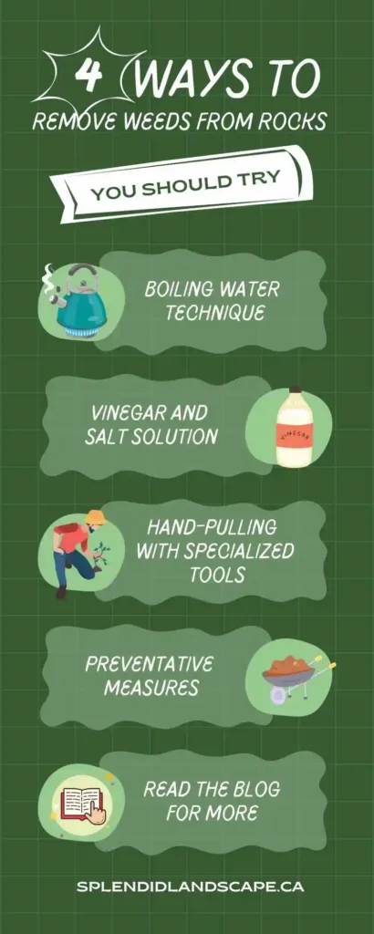 an infographic showing different methods of how to remove weeds from rock beds