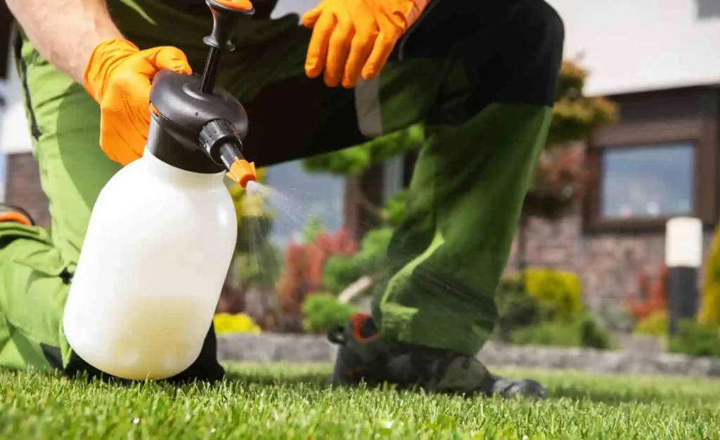 spraying Herbicides to get rid of weeds