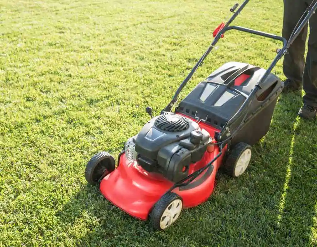 Person mowing a lush green lawn with a red lawnmower.