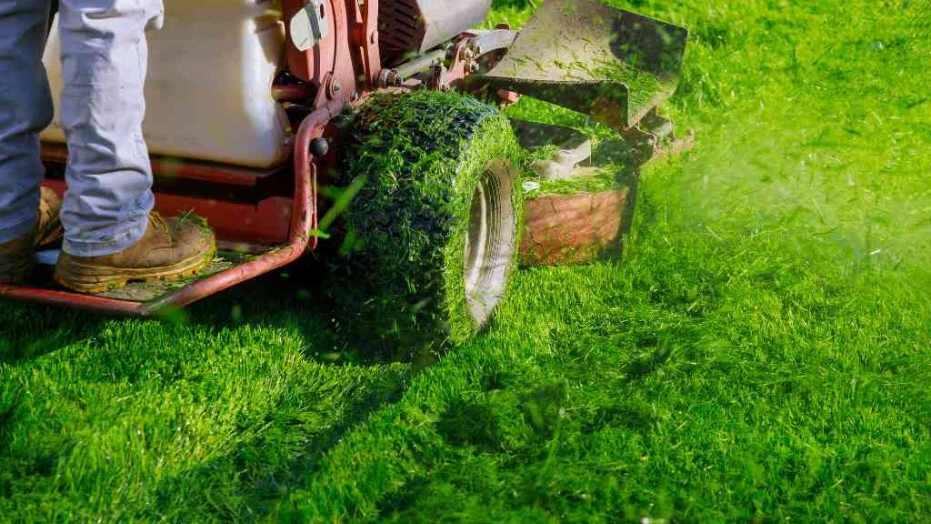 close up photo of a ride on lawn mower