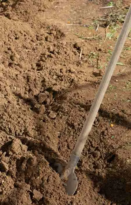 a shovel stuck in some soil