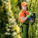 Expert professional hedge trimming service in Surrey, BC, for pristine and healthy hedges.