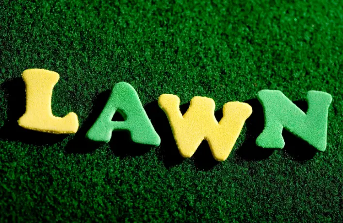 lawn care for seniors