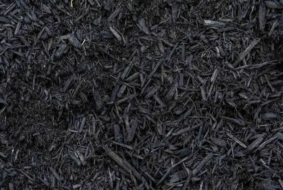 Close-up of black bark mulch spread around plants in a garden for moisture retention and weed control.