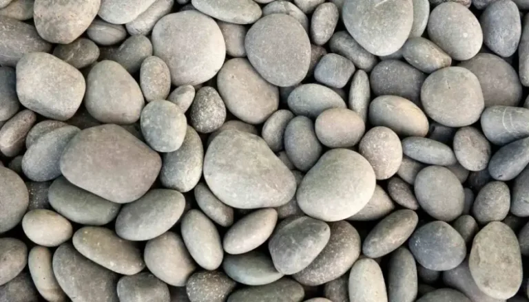 How to Remove Weeds from Rock Beds: A Complete Guide