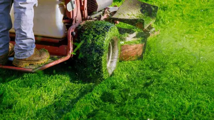 ride-on-lawn-mower