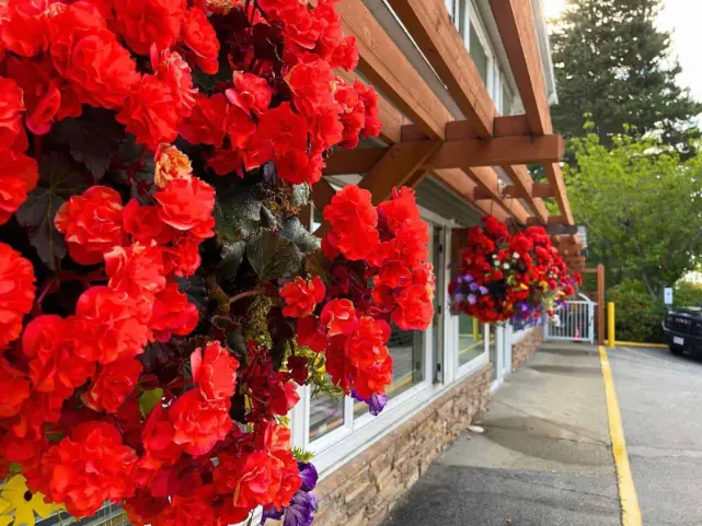 splendid-landscaping-services
