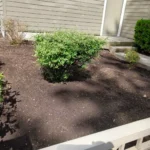 landscaping services in Abbotsford