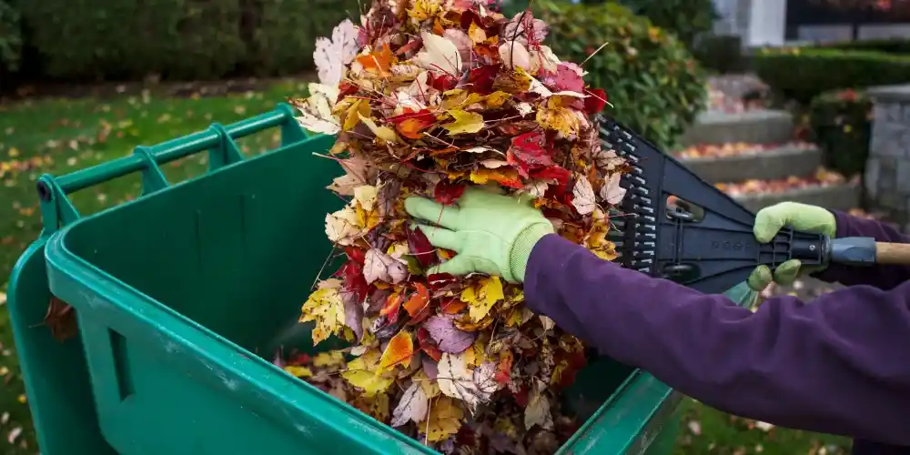 how to do a fall yard cleanup 2