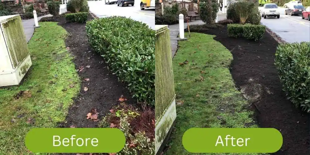 Yard cleanup work on a White Rock BC property