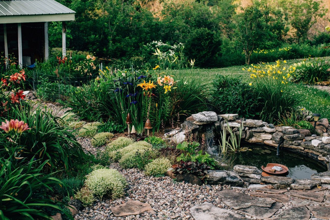 beautiful pond stone path and lily flower garden in wisconsin.jpg