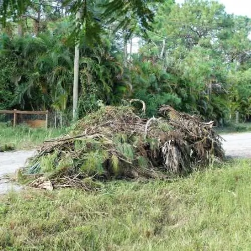 spring yard cleanup service