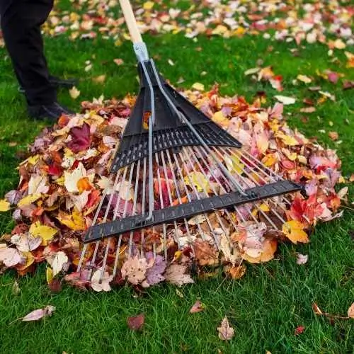 summer yard cleanup (1)