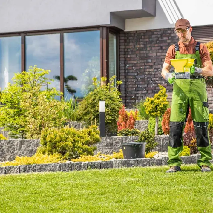 A professional landscaper in work gear spreading fertilizer on a lush green lawn using a spreader.