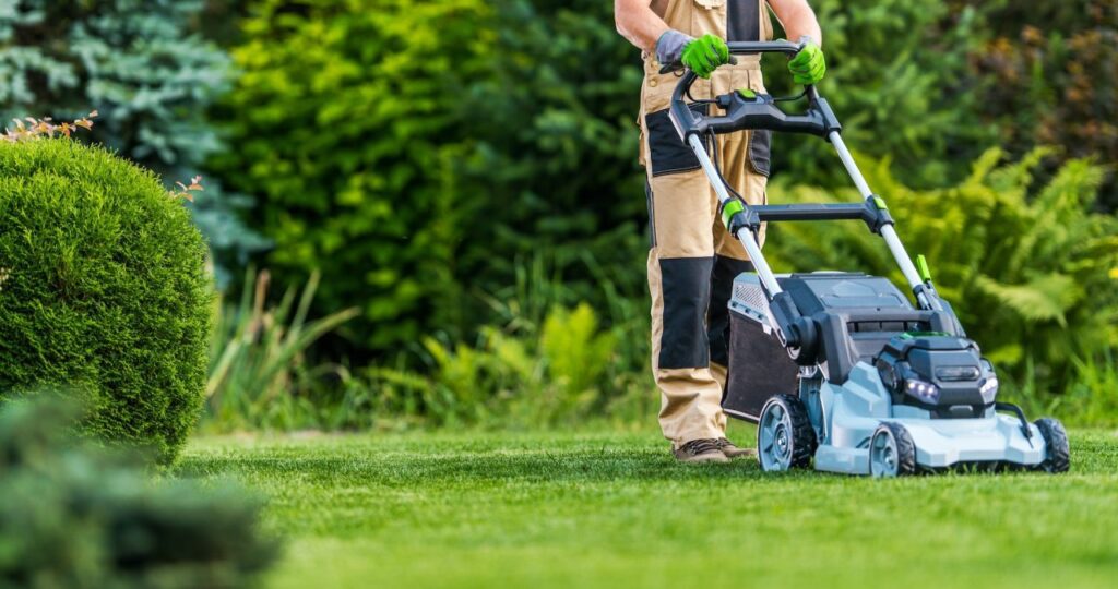 gardener trimming grass lawn using electric cordless mower.jpg