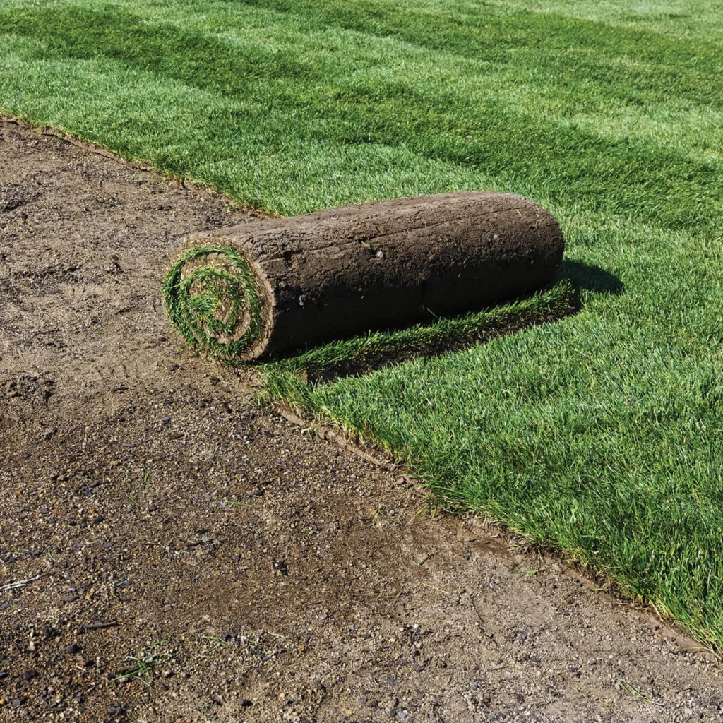 sod roll websq