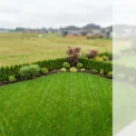 splendid landscaping service blog featured why langley homeowners are switching to professional lawn mowing B