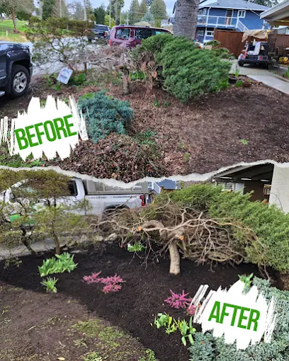 Landscaped garden beds and lawn on a Fraser Valley property
