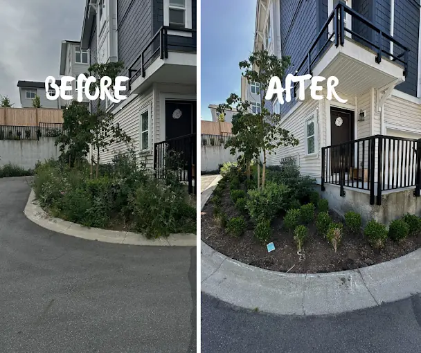 Maintained lawn and planting on an Abbotsford BC property