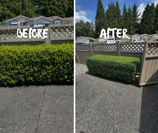 Landscape maintenance work on an Abbotsford acreage property