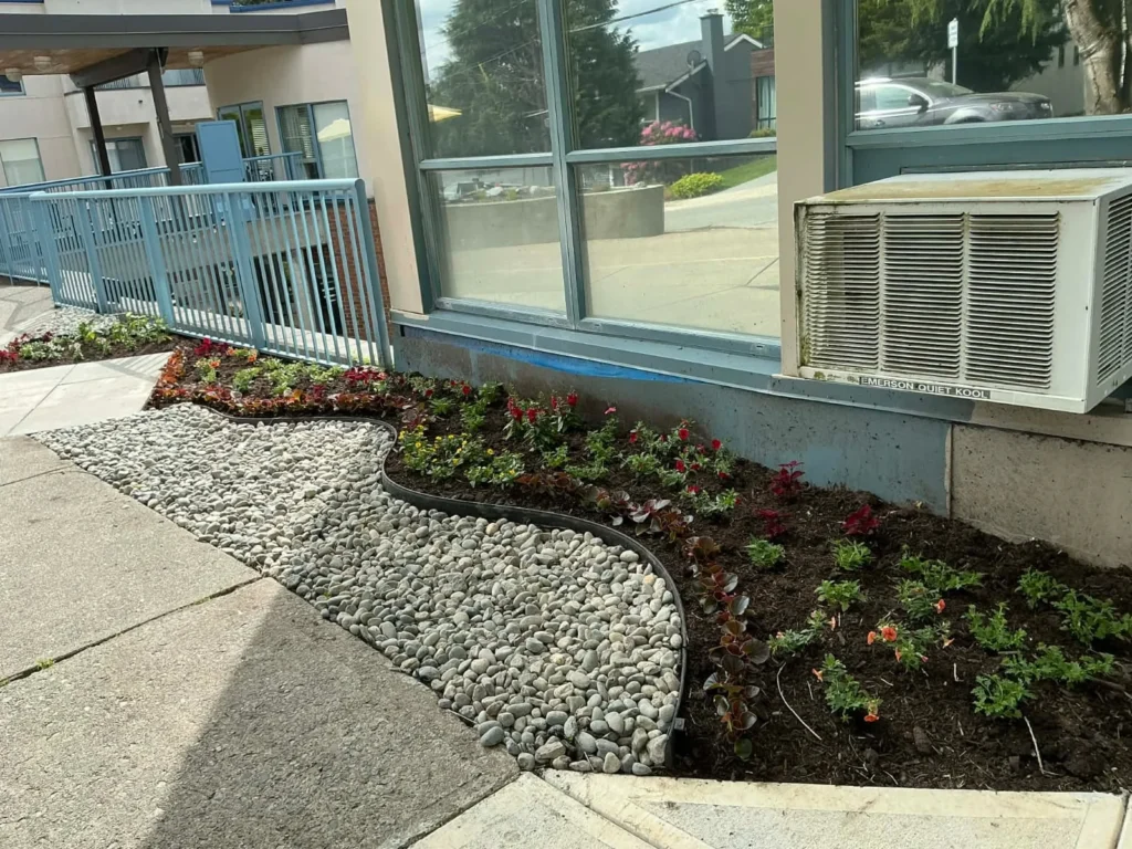 Splendid Landscaping crew installing a landscape in Abbotsford BC
