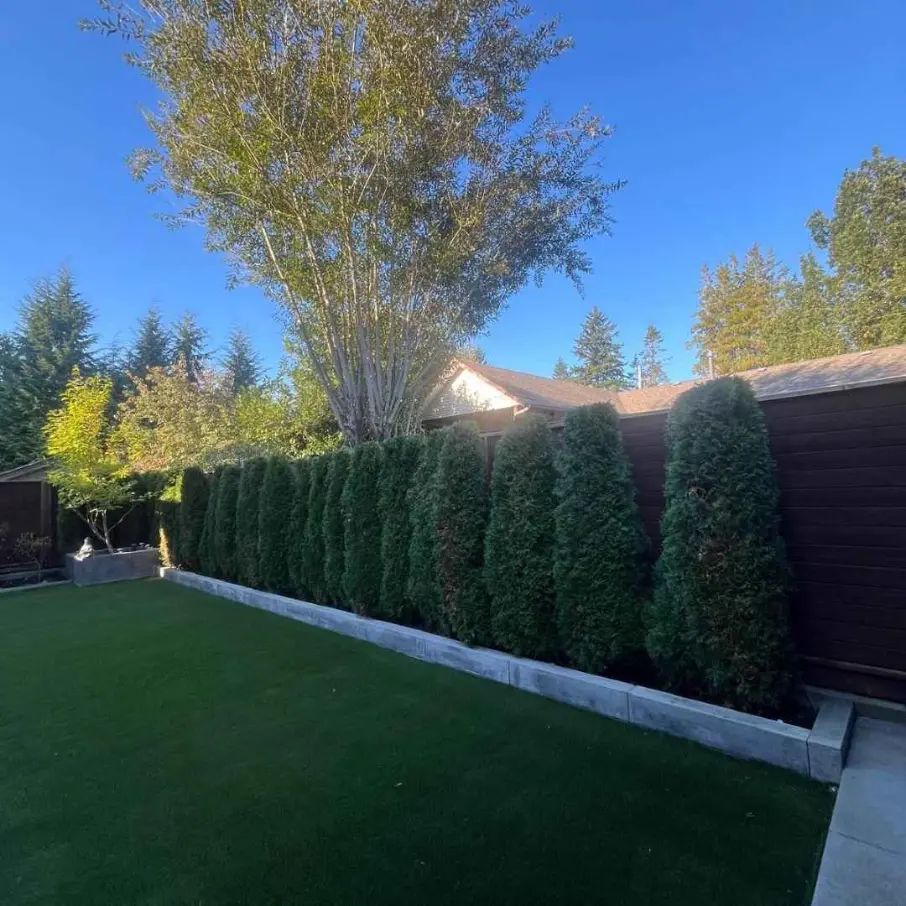 Strata property landscaping in Delta BC