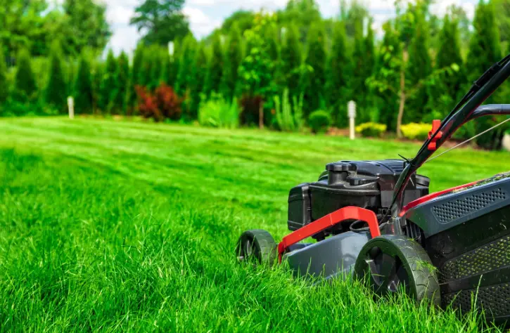 A mower on a freshly striped lawn with a trimmed hedge behind it