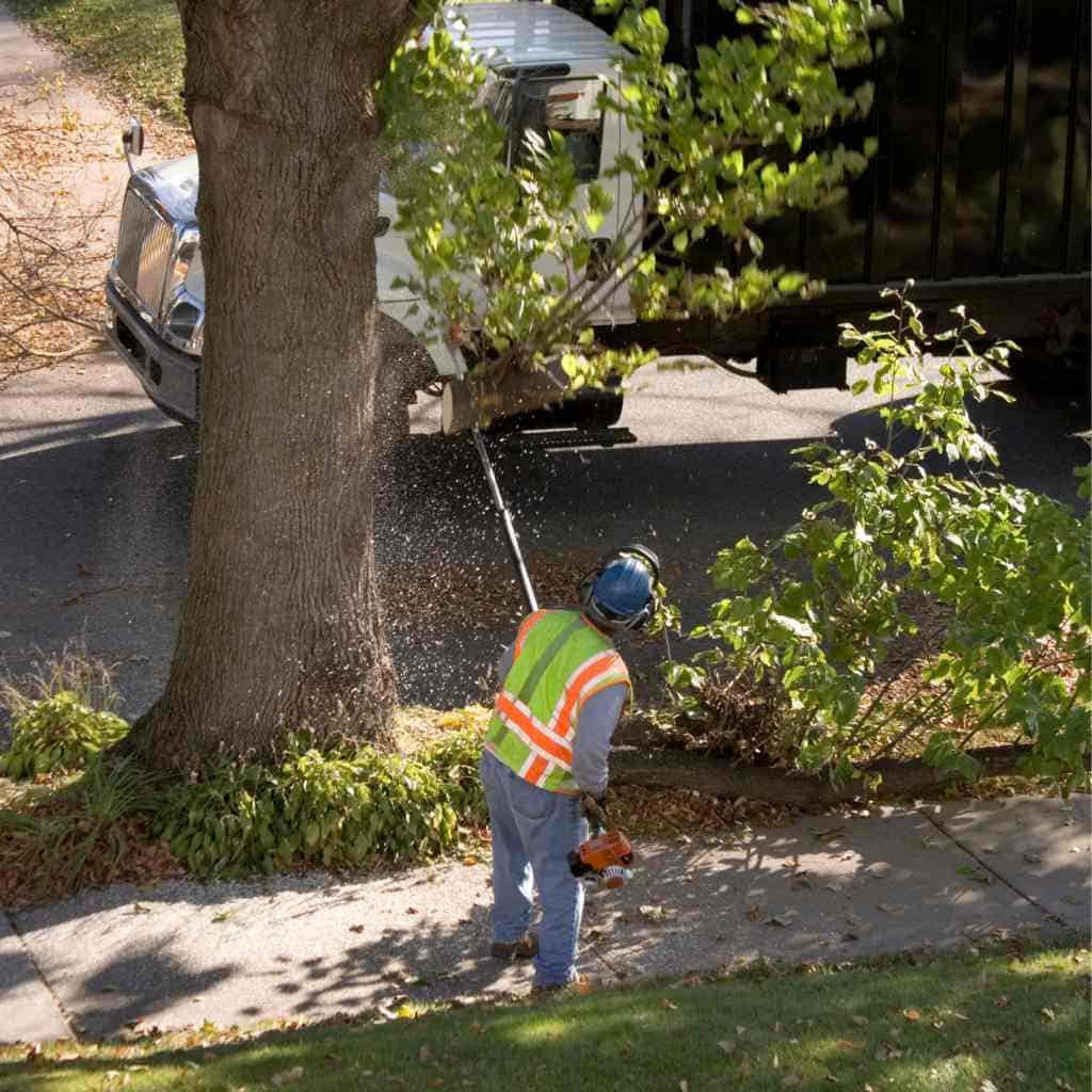 A worker in high visibility clothing clearing cut brush beside a truck