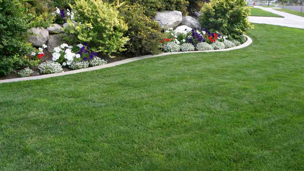 A dense lawn meeting a curved planted bed edge with flowers
