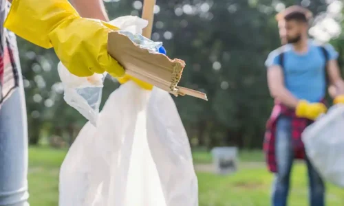 Spring Yard Cleanup