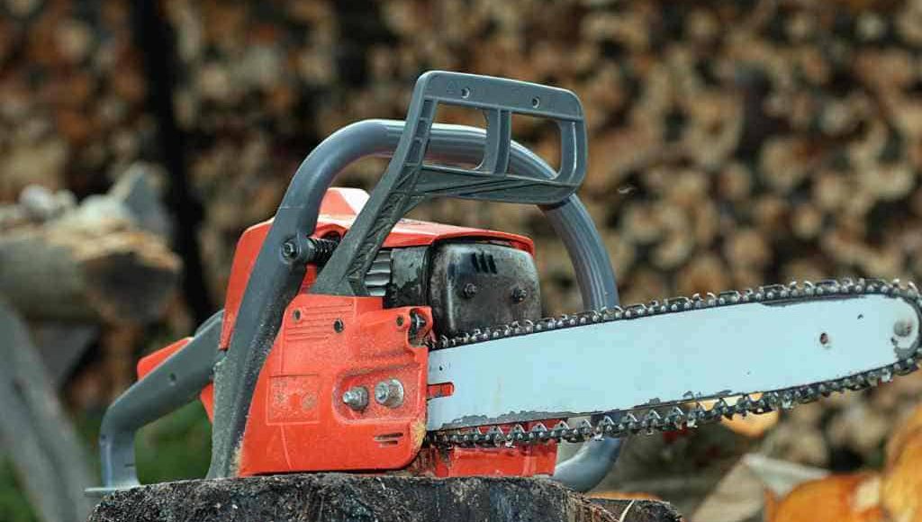 chainsaw for tree service