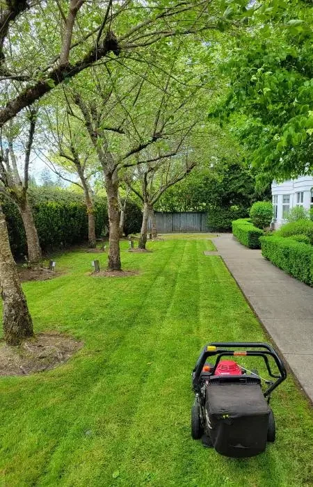 landscaping service in Abbotsford landscaping service in Abbotsford