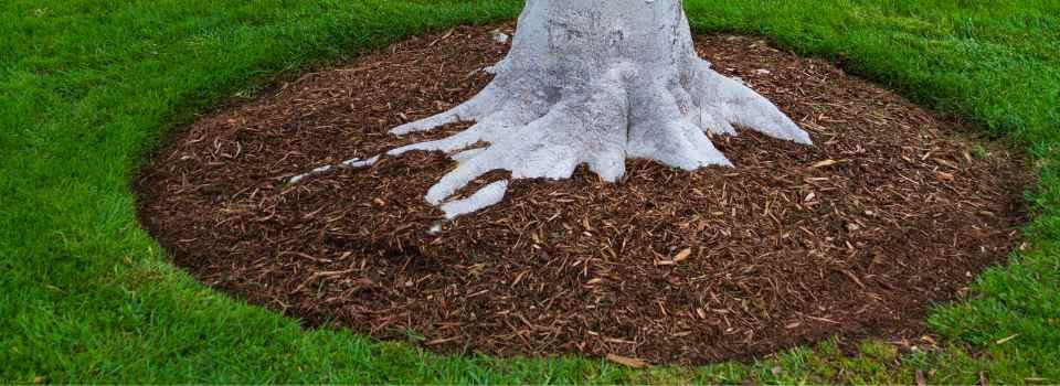 mulch installation langley